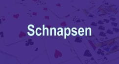 Schnapsen – 66 Paderbörner als Kartenspiel